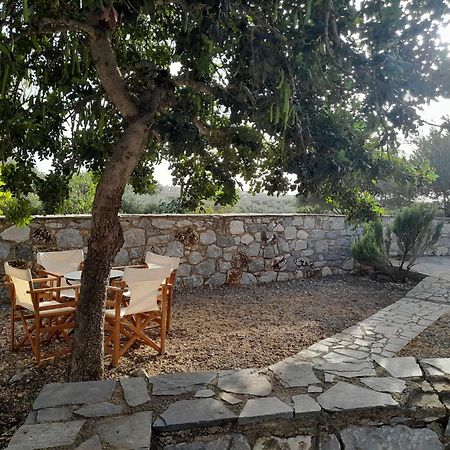 The Two Carob Trees, Traditional Stonehouse, Nikandri, Pirgos Diros Appartement Lefkias Buitenkant foto